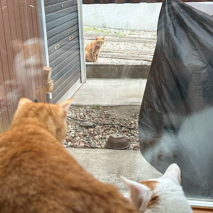 D5127824 ff54 4603 8deb 29ca53cc6954 1692914425923