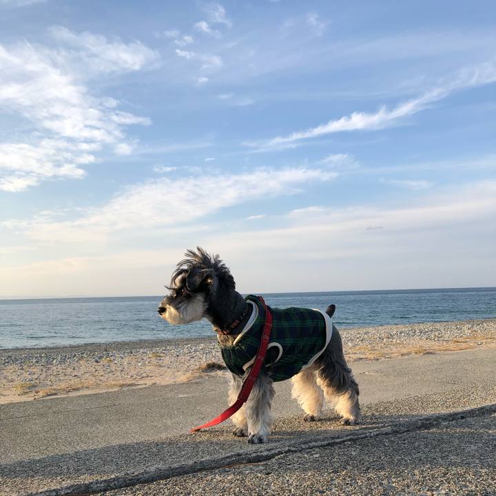 D512baa1 fe13 4c6f aaa8 dd2aba6e6d7b 1668923938163