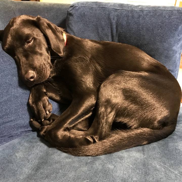 D512ddda 07d7 4167 abfc 9be3da2d8c8a 1511956153668