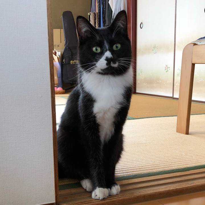 D512e69f 8471 475c 9f0d 9802abe099a4 1526198597144