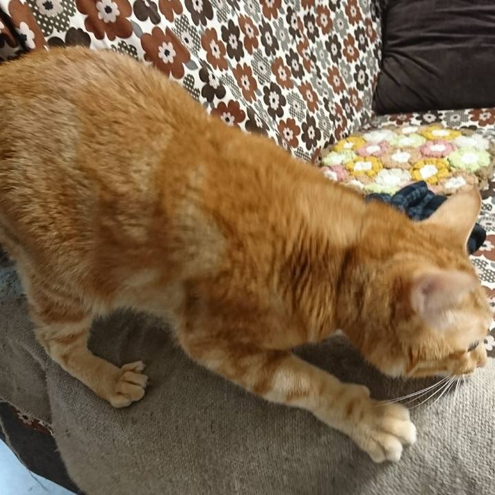 D51316b2 4c48 411c ae30 94ea7f0ef561 1515670533613