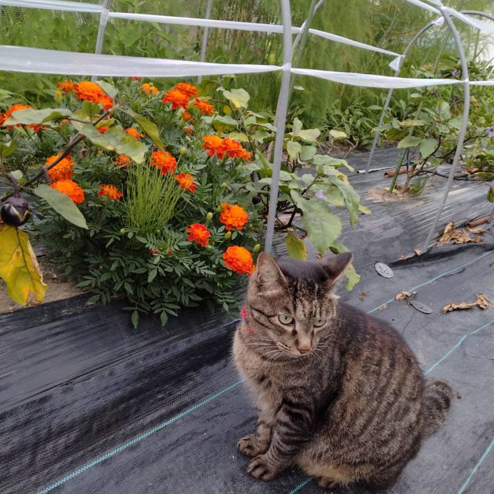 D513201e 87f2 4922 a60a e9948ed04afc 1690972394770