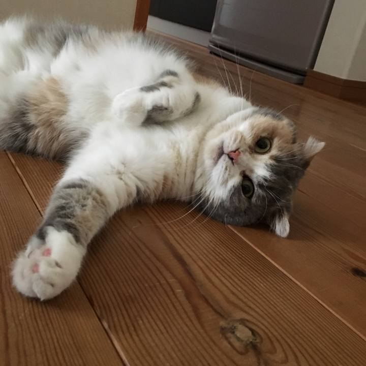 D513440f fa54 4b4a bfa7 024aec9b7a31 1556103001453