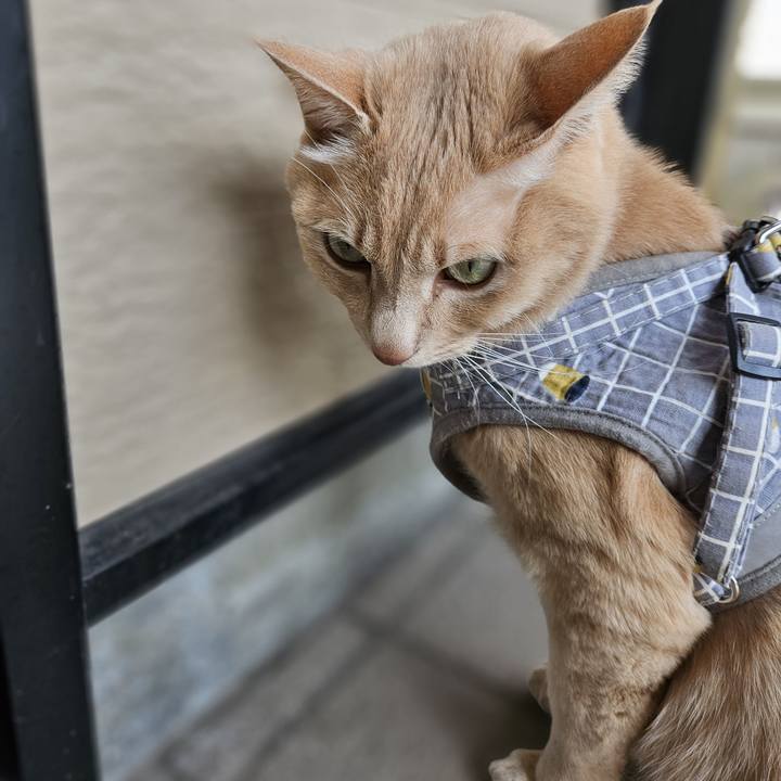 D51362ef d56d 4df3 90ed 68377728fbee 1700365440261