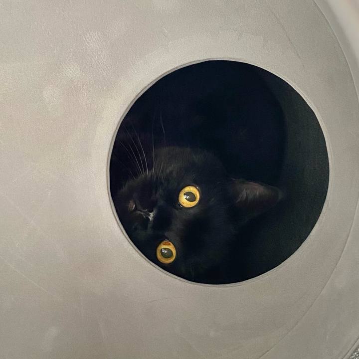 D51381f7 63ea 4fdf 9575 4b1a9687f5c9 1735042072306