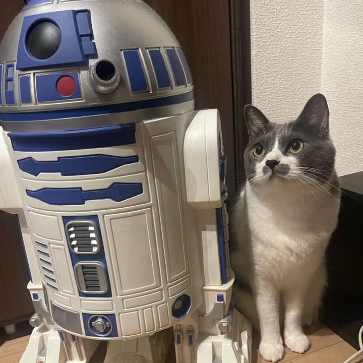 D513cade 8e1a 4122 8096 b994693716e7 1696507299112