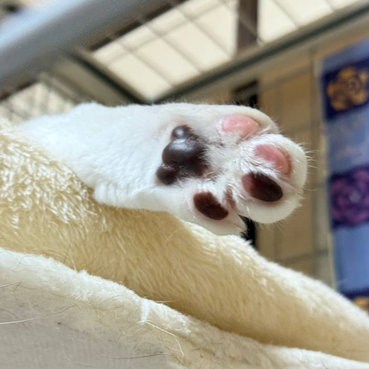 D513ffe5 253c 40df a820 1fe211660552 1749003971937