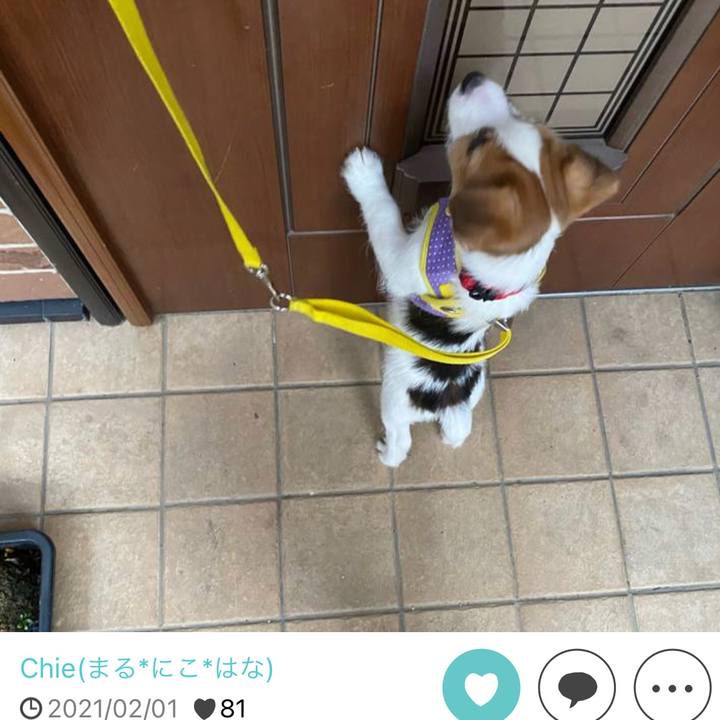 D51414b1 925c 4c11 b251 2bef9c0c891d 1643670245885