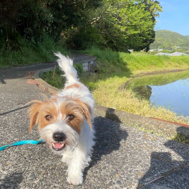 D514431a 4b59 4b84 82a4 a559d75e5721 1776821685996