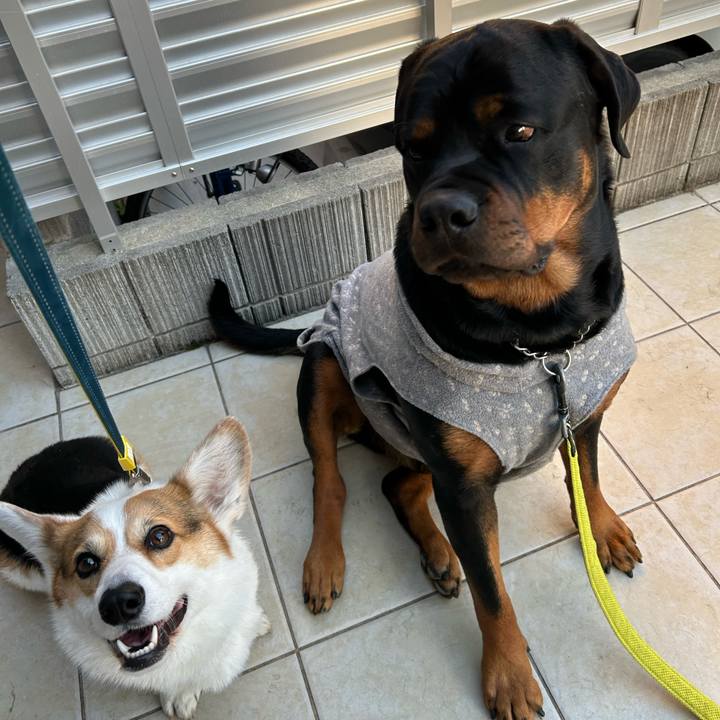 D5145347 85fe 4a66 828c 98e6d6c4cff5 1770369140257