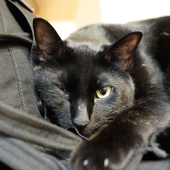 D5148a58 77e2 43d8 8538 22bded9abbed 1558796485229