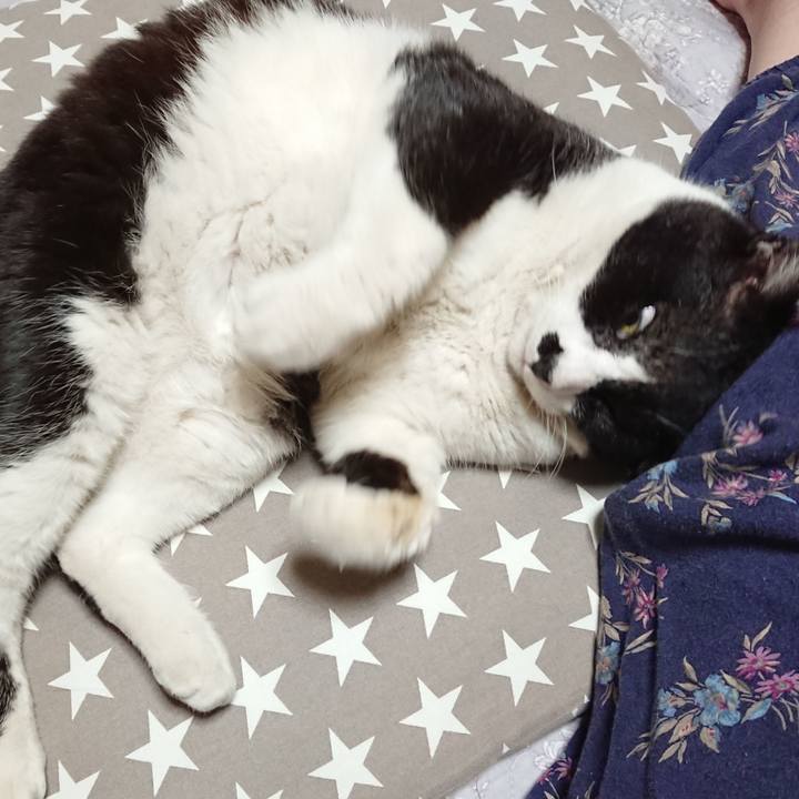 D514a9f5 473a 4906 b086 ef2602b857b4 1649671749701