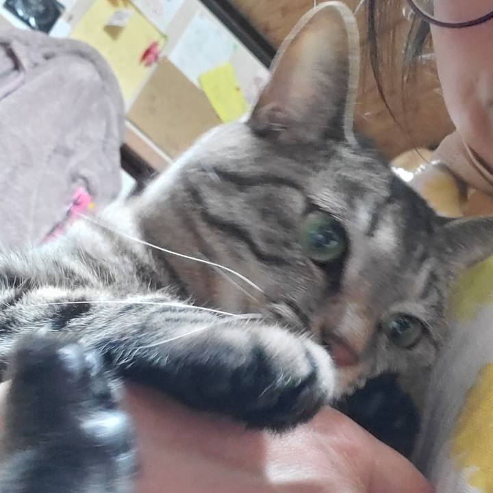 D514b8e8 ee8a 47cd bad2 00b665de30f2 1744284274538