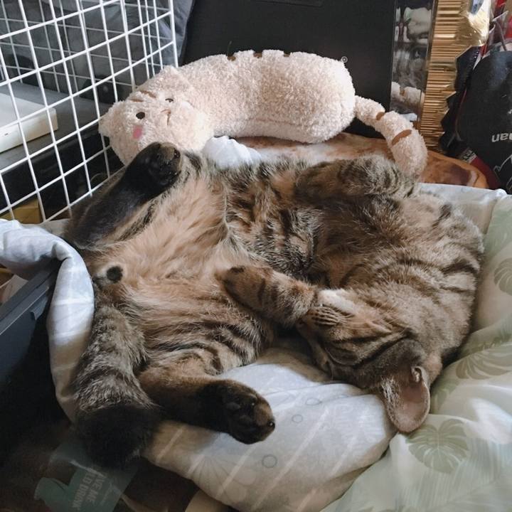 D514bede 31f6 4850 b1b4 fa7428c2caf2 1558572587675