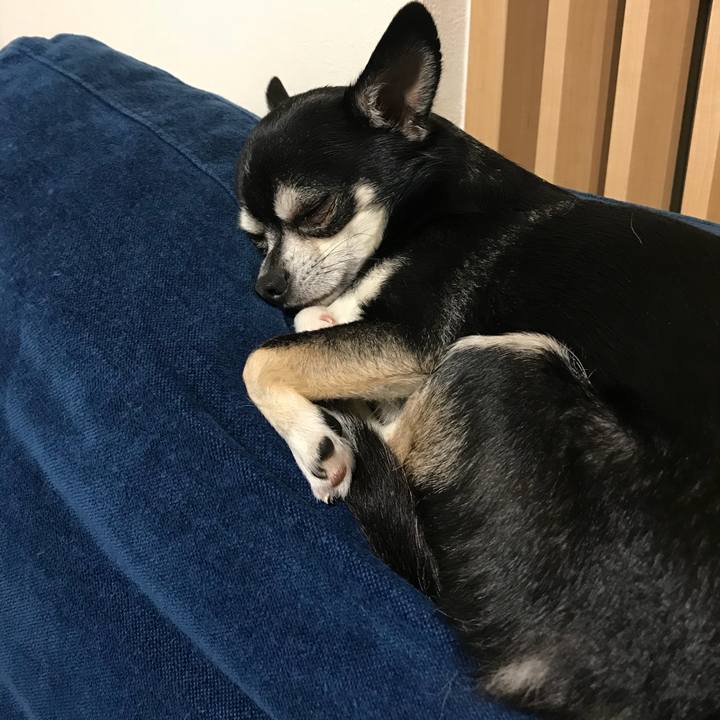 D514c6b2 2f91 485b 809f 22bfefdffb2a 1525342764708