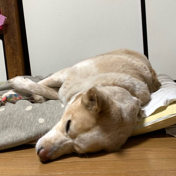 D514cfc3 da96 44ec ab67 ba58433dd61f 1586443202261