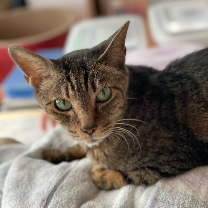 D514ea9f 68d2 4829 8d4d a4199e3a21ff 1626053756044