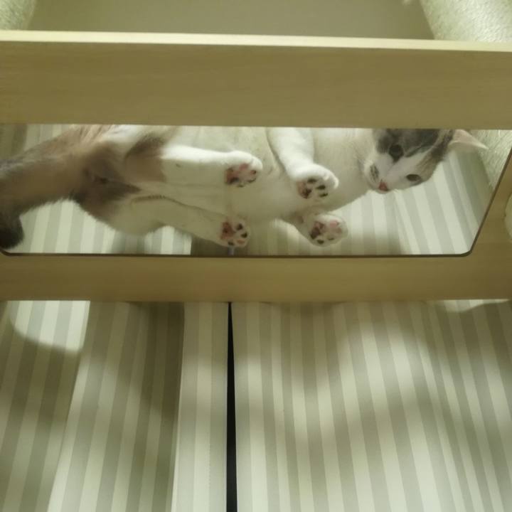 D514f22e 38f5 4f0e 8219 78741bb635c1 1517873829994