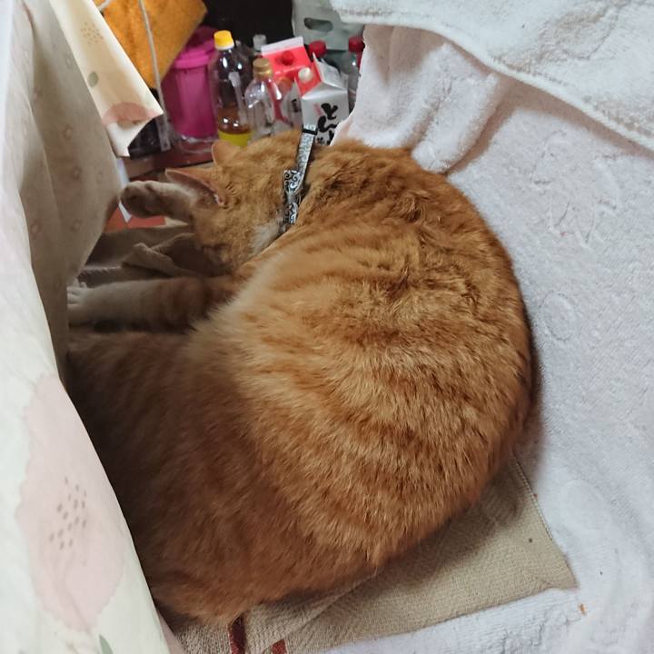 D5153a17 2dd0 497d 99c4 018b5252b6de 1587274571153