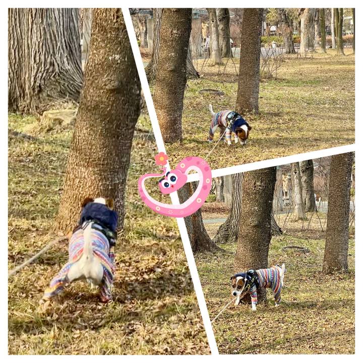 D51561f1 efcb 440d be0e 25cf5f50e5a0 1738571534944