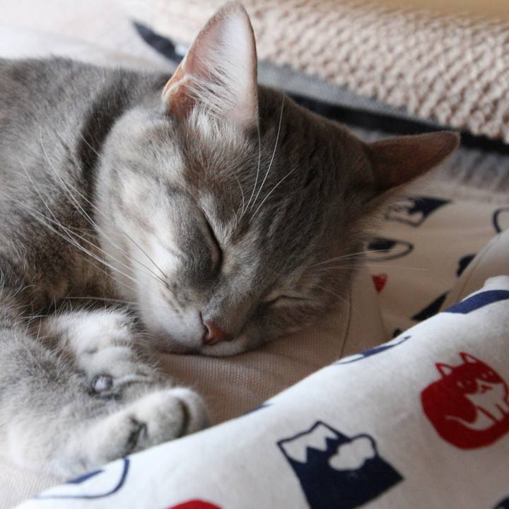 D51574af 92b1 4b87 a86b 8318fc82ba88 1524284337506