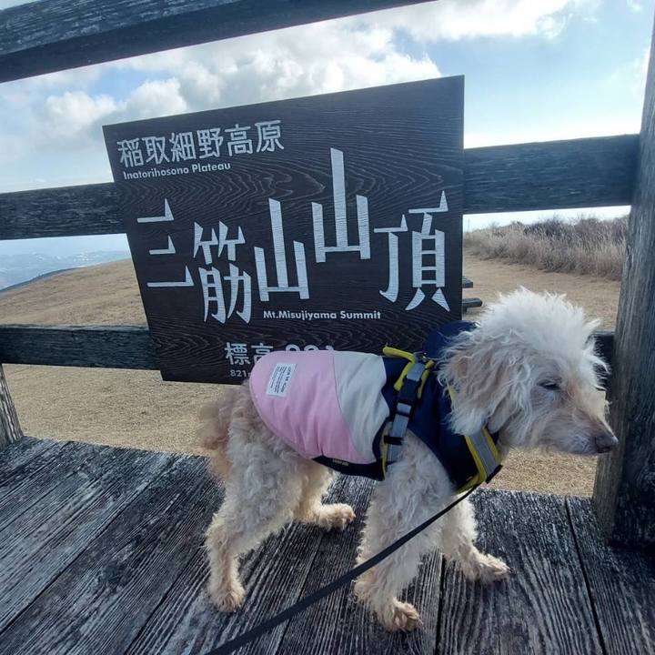 D515a034 417e 4471 90bf aae29dab84da 1703899330626