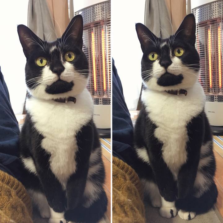 D515b29d b808 4f8a 9745 e43949fb1107 1776596316708