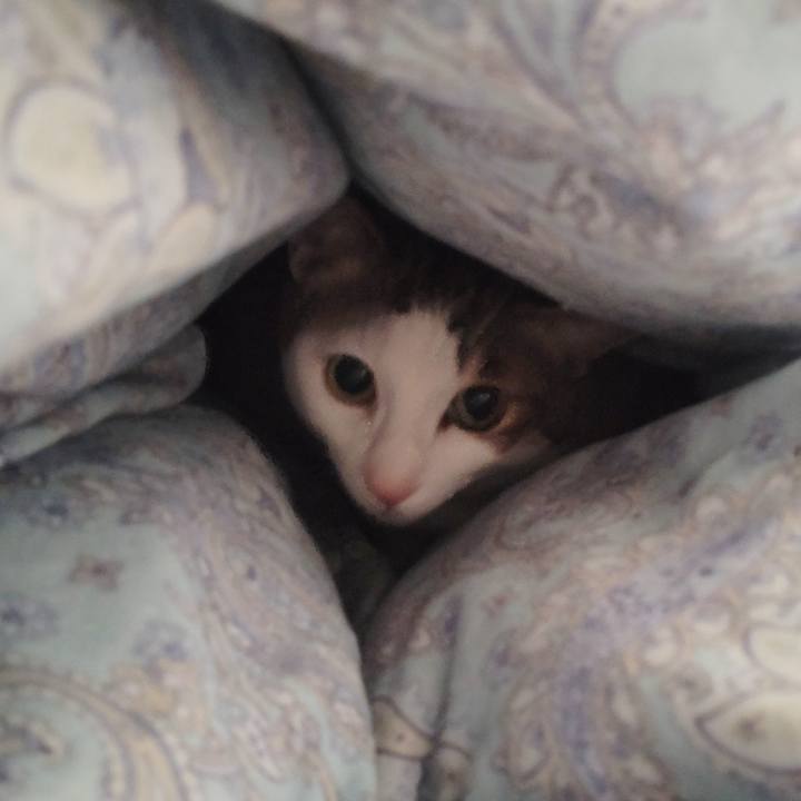 D515ca9a 16a2 4f25 8b36 123bed1404ae 1710809833867