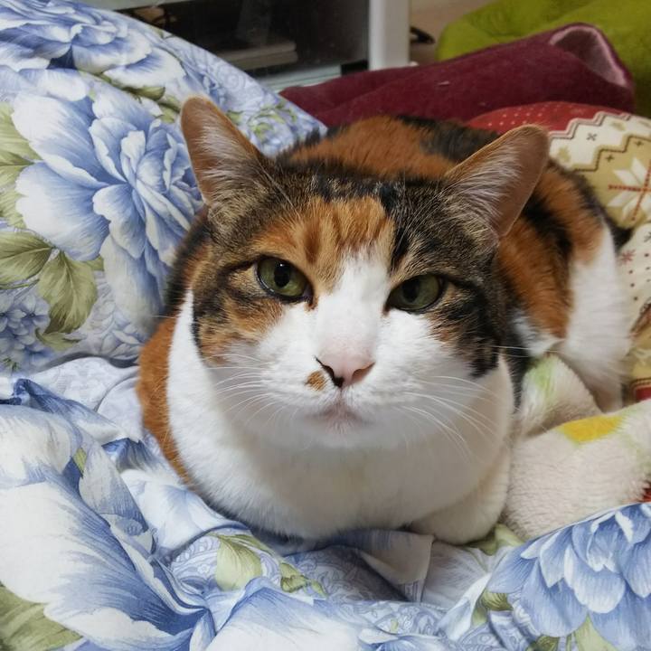 D515edf9 1747 4764 bbc1 d06b14e92ed9 1548462076496