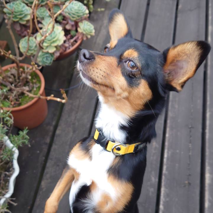 D515feba e5a7 412d 9a0e 94e818860956 1771549767648