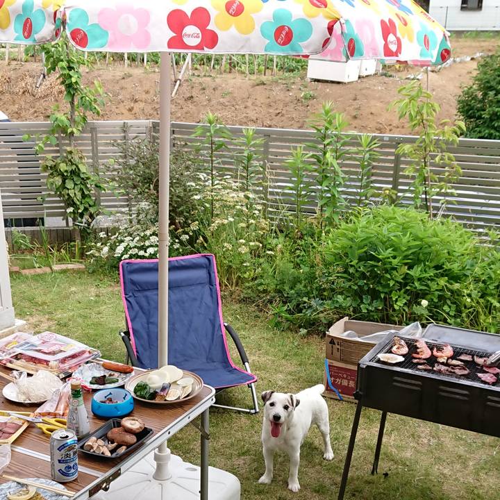 D5161b94 6bc3 4620 8e03 38e1cc1e3363 1590592796398