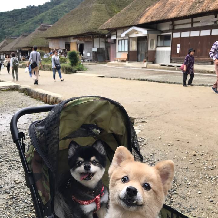 D5162854 eccc 4178 bbb9 5c21dd3816e3 1573643404375