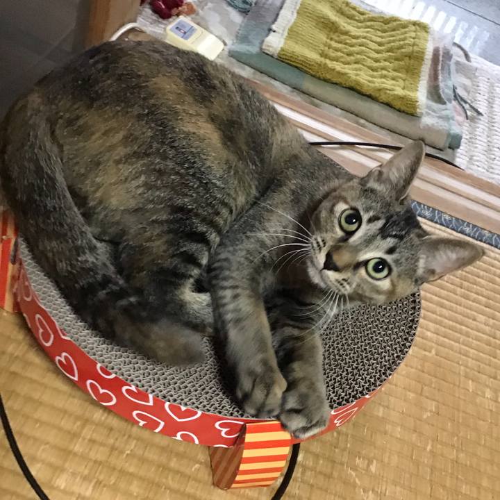 D5162c39 a8c6 44e7 9a24 a76d71e9cb24 1574373760704