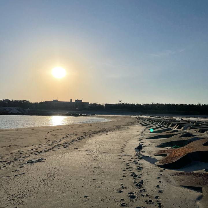 D5162f82 2f36 4134 81e9 c65e9f8ad854 1611617537793