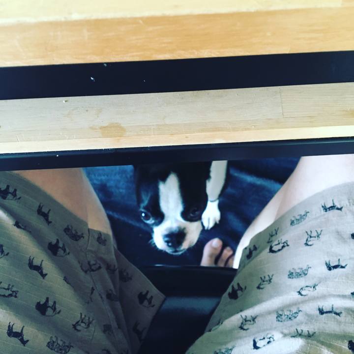 D51656bf 13bc 4b05 aa5f a96a48e6d437 1532682922599