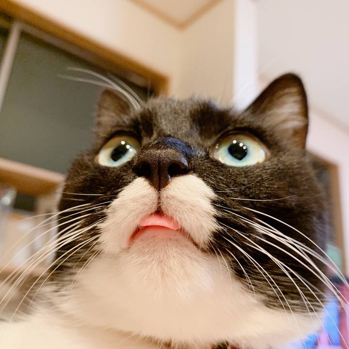 D5174b3b 36ee 477b a2f8 ebfe7ec5a3dd 1565916385168