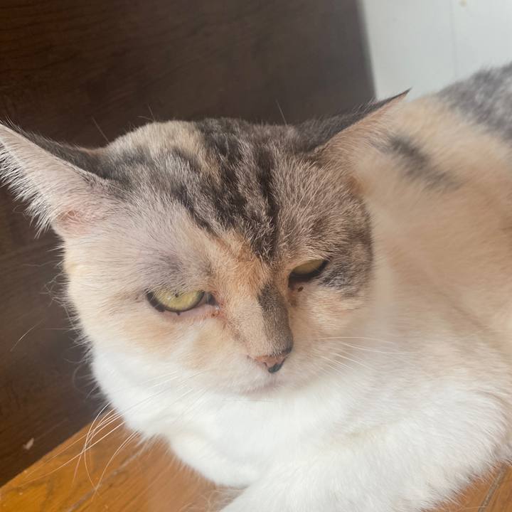 D517518d a237 46ec 8e67 bc8a256d75dd 1660439514016