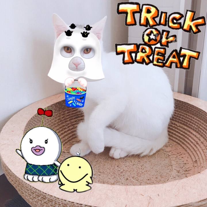 D5176dbc 5007 4ca3 a85e 273b8ee96476 1572448279841