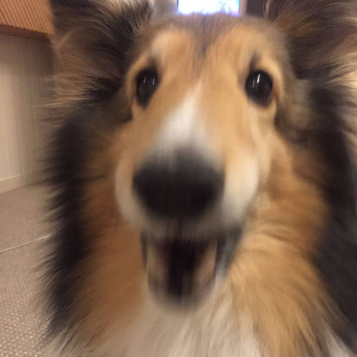 D5177e7a 54d6 4ab3 99ee 53aa240405e7 1554990282047