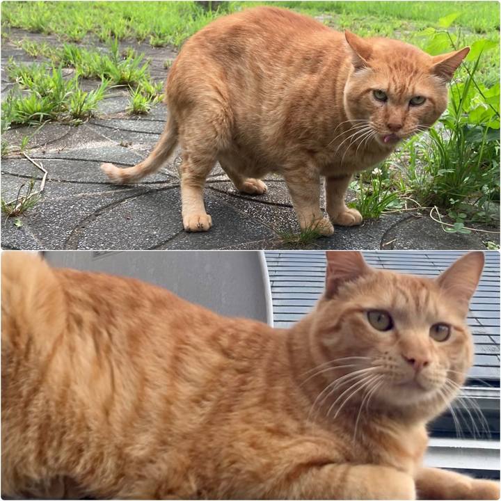 D5178418 f199 4369 be1e 3911bb04f169 1659443406784