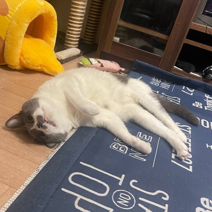 D517860e cd2e 4715 bd6b a7d0aa8b2a00 1694968018218