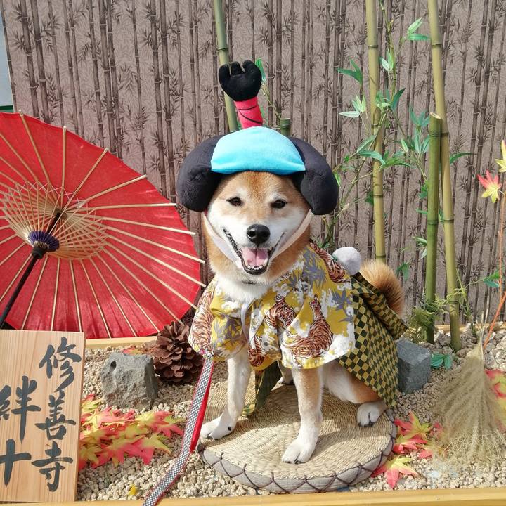 D517aa35 dd74 480d bce2 13a69b9987a2 1636289583578