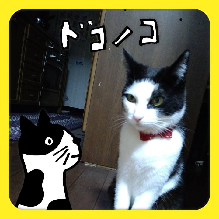 D517b263 a7b4 4967 ad8c 2083442122f7 1623072834054