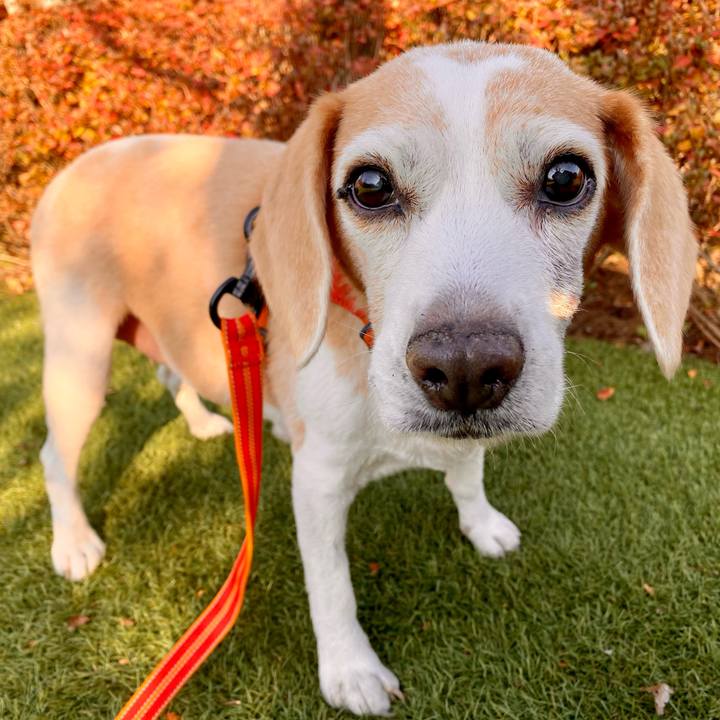 D5186d94 3ef4 4b21 b7f6 b3a96e475366 1615028893888