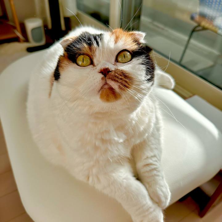 D51885f4 8616 46f3 9e35 89ae9d1949aa 1702513512020