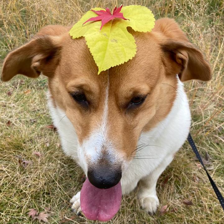 D5188bb1 8173 48bc a35d 470f9fe35fe3 1703985717033