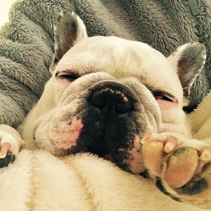 D51899a4 deaf 43cf 966f dbf81450be6c 1515471306716