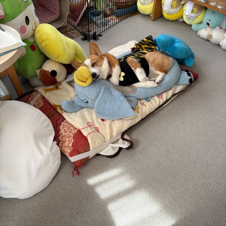 D518a4f0 daa0 4b3a 84a2 920aeb6675ff 1770263251041