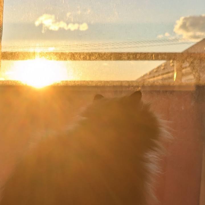 D518b72a 3cf2 4d76 bcf1 c5db71f4bd13 1679214874887