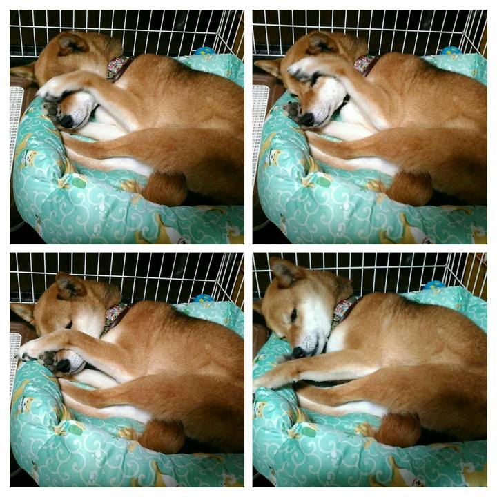 D518c76d 9f4f 41d6 99af d4e6e33bc022 1528122536642